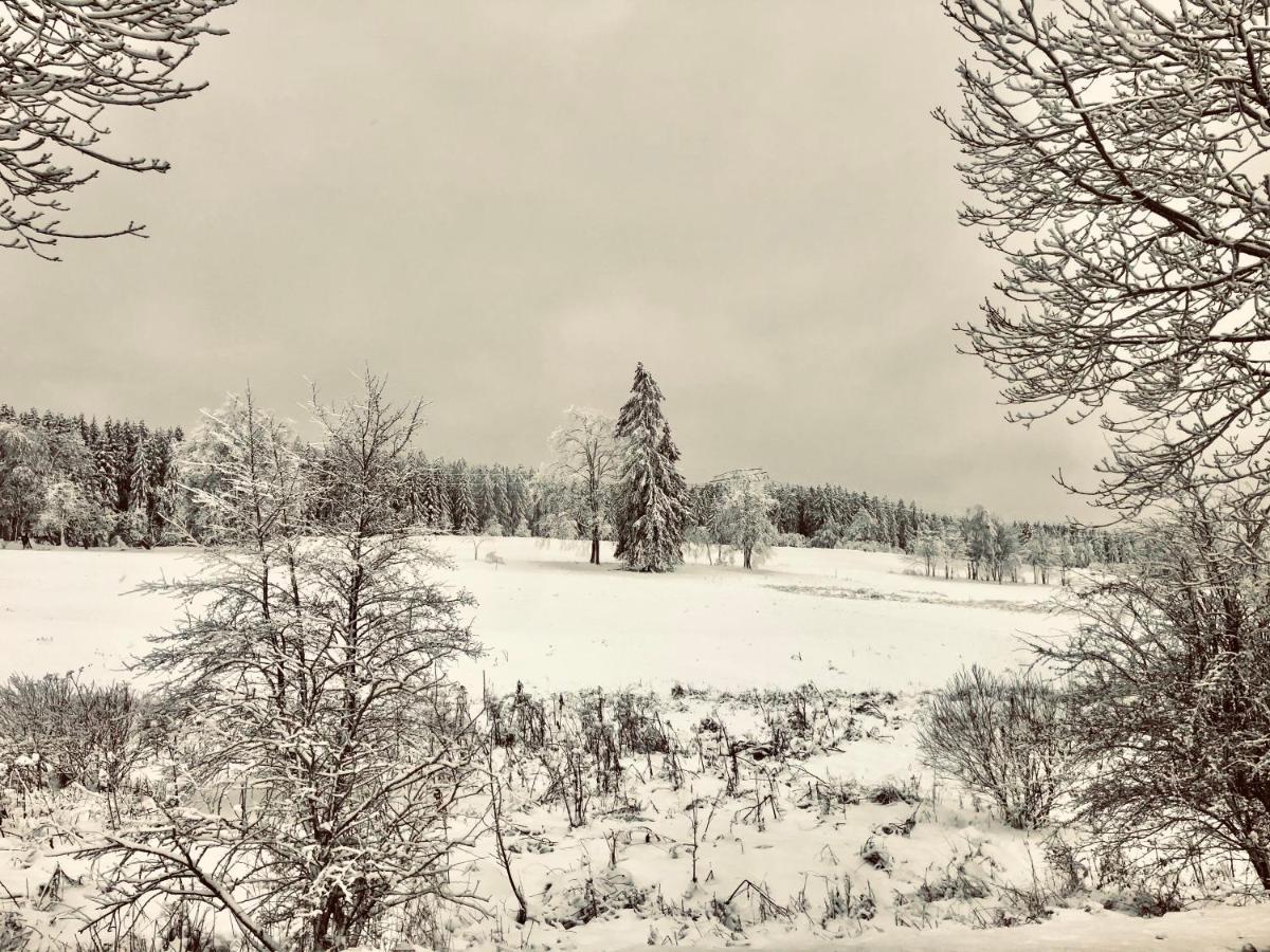 App 622 Panoramic Hohegeiss Mit Wlan Terrassenhaus Διαμέρισμα Braunlage Εξωτερικό φωτογραφία